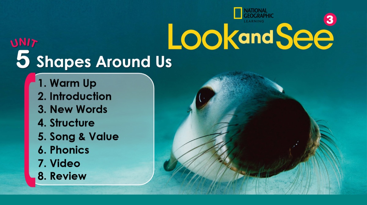Look & See 3